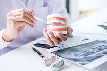 A person wearing a white lab coat holds a tooth model while sitting at a desk with dental equipment and images in a dentist s office.
