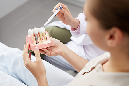 A dentist holding a model tooth with a drill in front of her mouth.